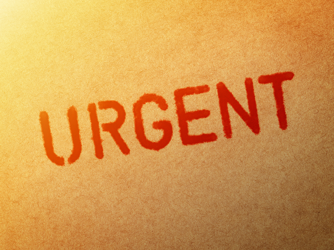Urgent Notice from Bamberzon Regarding Tariffs for U.S. Customers